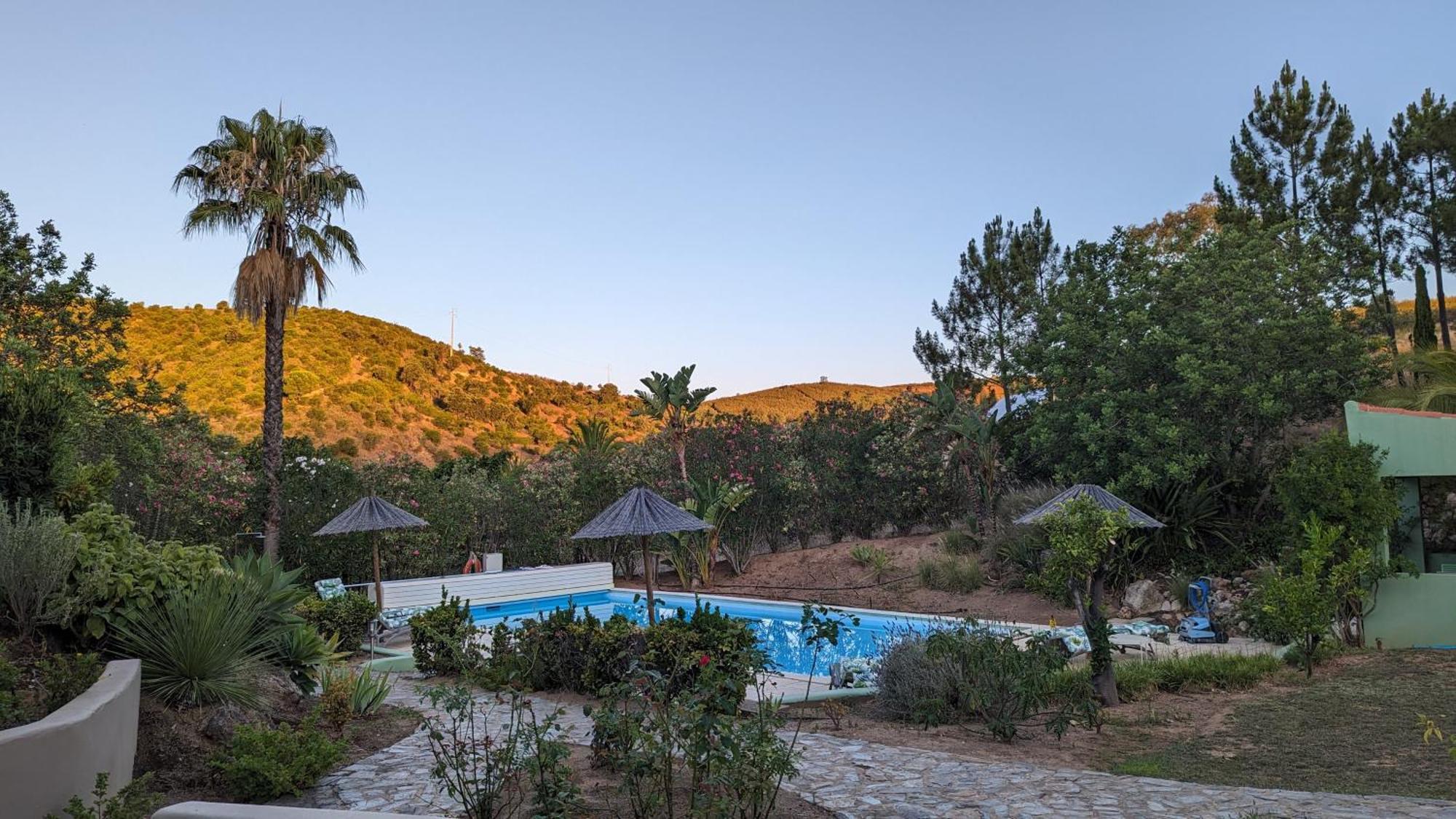 Casa Do Palmeiral - Hoom B&B Montes de Cima Luaran gambar